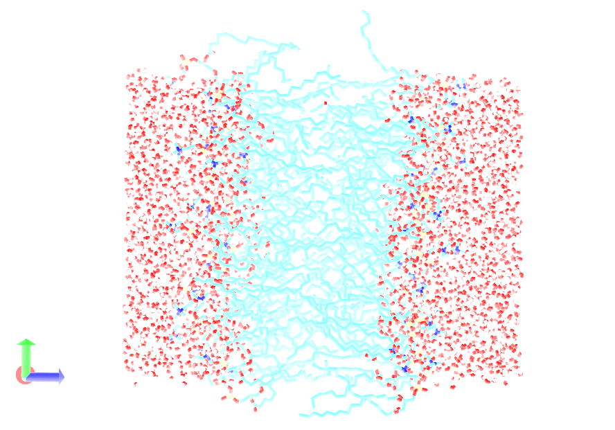 Membrana lipídica de LPPC hidratada | Dinámica Molecular 